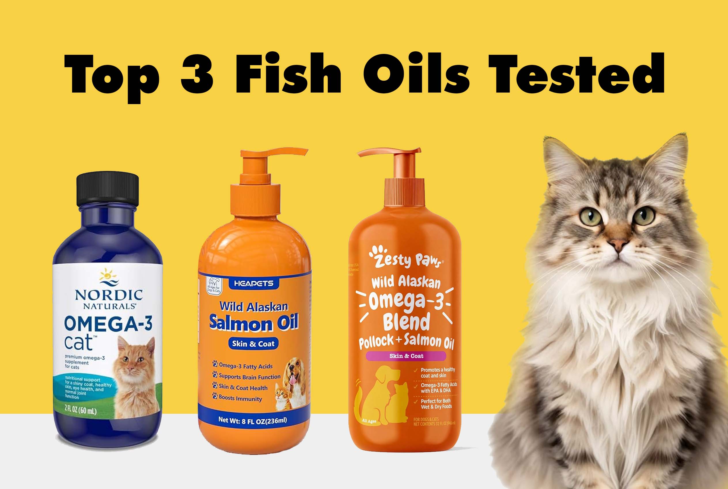 A fluffy white cat sitting next to the top 3 best fish oils for cats, including Nordic Naturals and Wild Alaskan Salmon Oil, against a white background.
