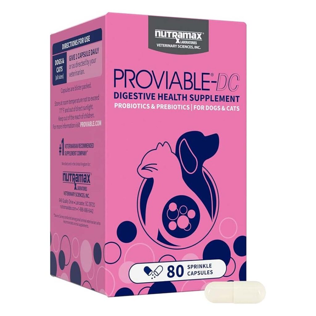 Nutramax Proviable-DC digestive health supplement capsules, a clinical-grade multi-strain option among the best probiotics for cats.